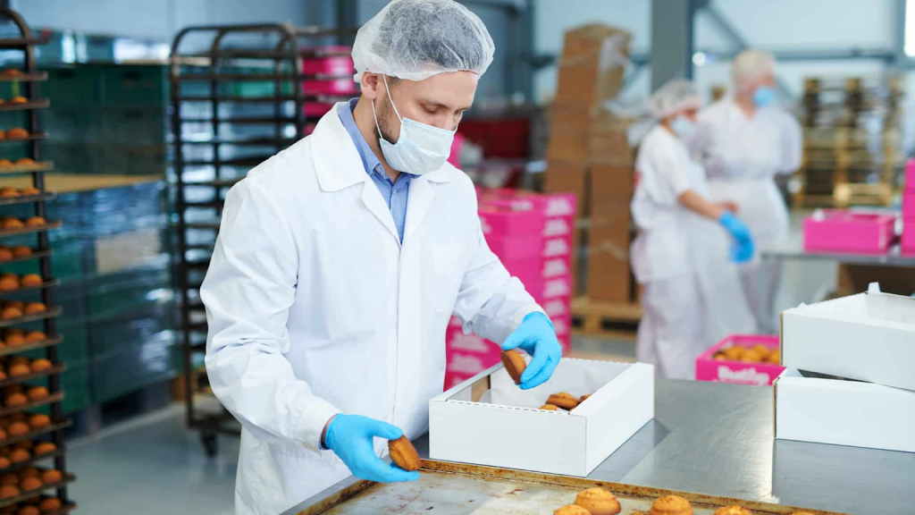 5 Major Benefits of GMP Certification Services gmp certification services